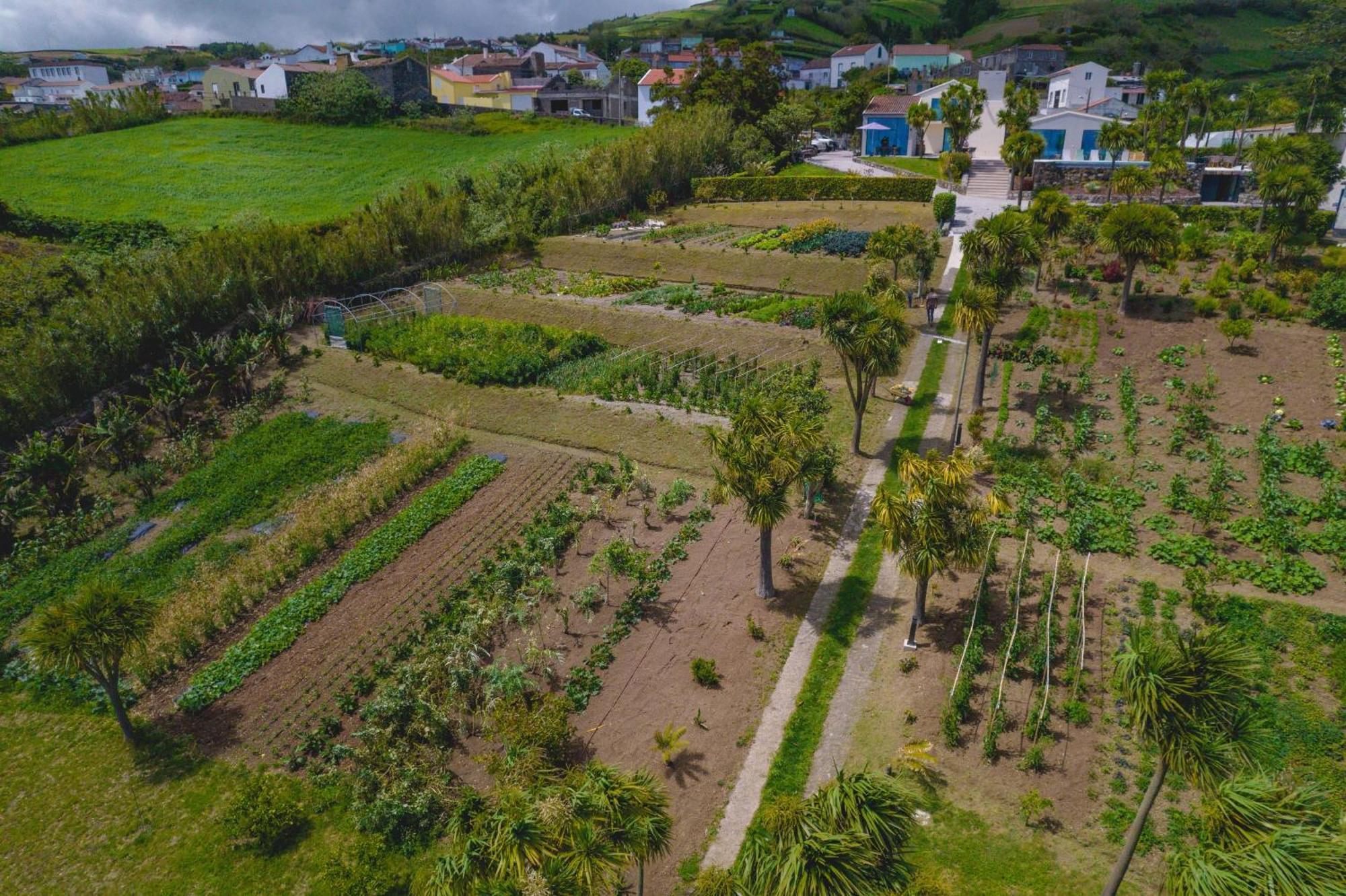 Idonea Ponta Garca Exterior foto